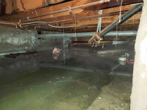 Best Water damage cleanup near me  in Granite, OK
