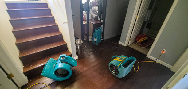 Best Water damage restoration near me  in Granite, OK