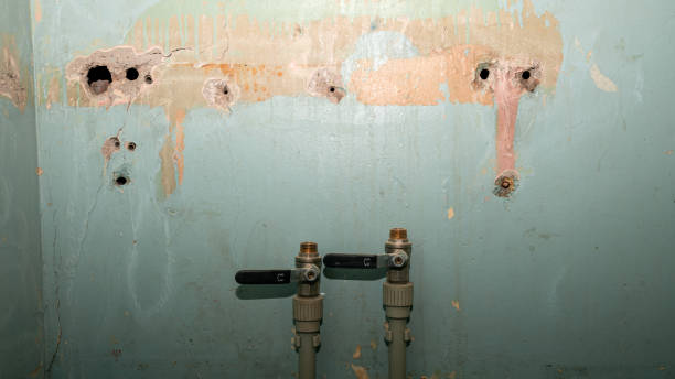 Best Basement water damage restoration  in Granite, OK
